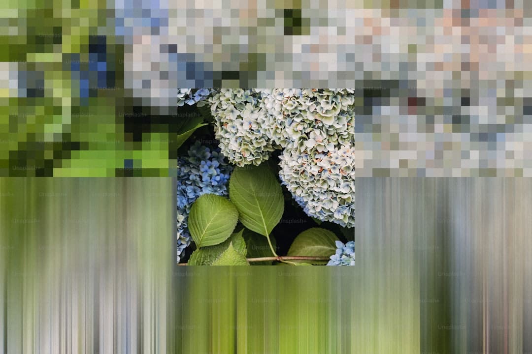 热依扎晒胸部损害确诊病例：真的不是卖惨